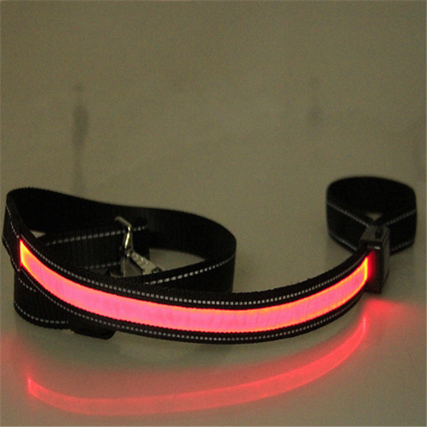 Fluorescent Dog Collar for Safety and Style
