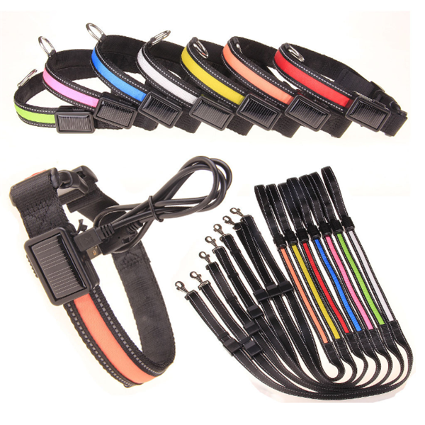 Fluorescent Dog Collar for Safety and Style