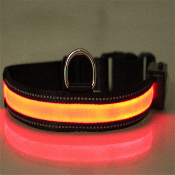 Fluorescent Dog Collar for Safety and Style
