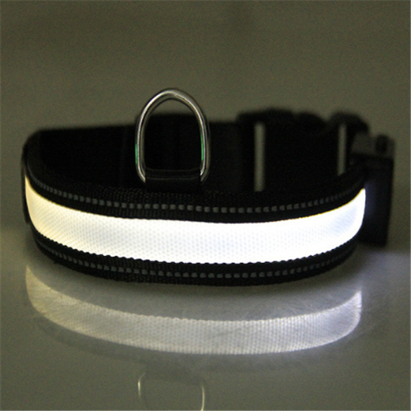 Fluorescent Dog Collar for Safety and Style