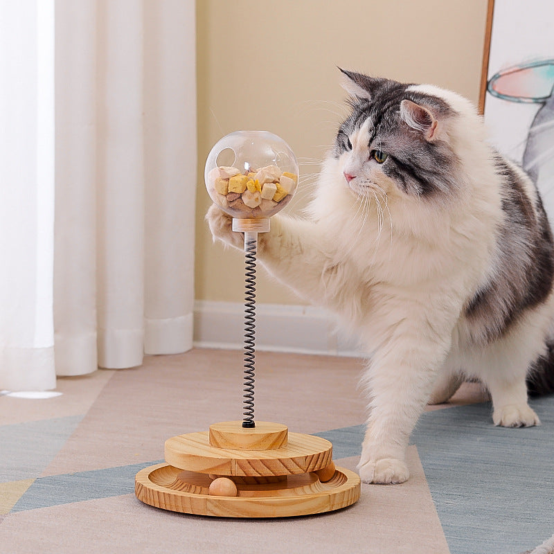 Dog & Cat Toys
