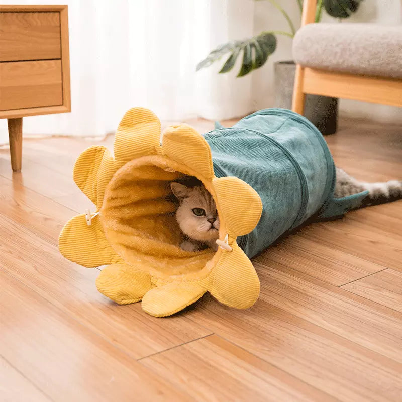 Whimsical Fruit Adventure The Ultimate Pet Tunnel Playtime