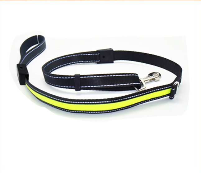 Fluorescent Dog Collar for Safety and Style