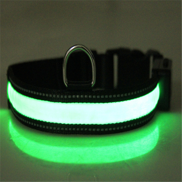 Fluorescent Dog Collar for Safety and Style