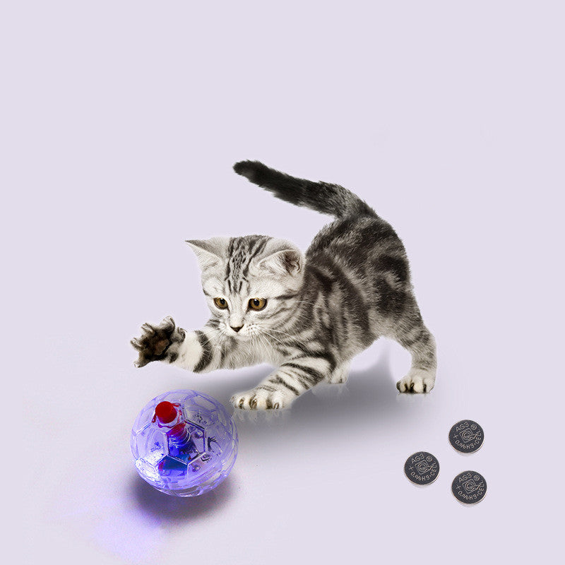 Illuminating Playtime Magic for Your Furry Friend