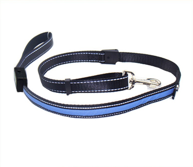 Fluorescent Dog Collar for Safety and Style