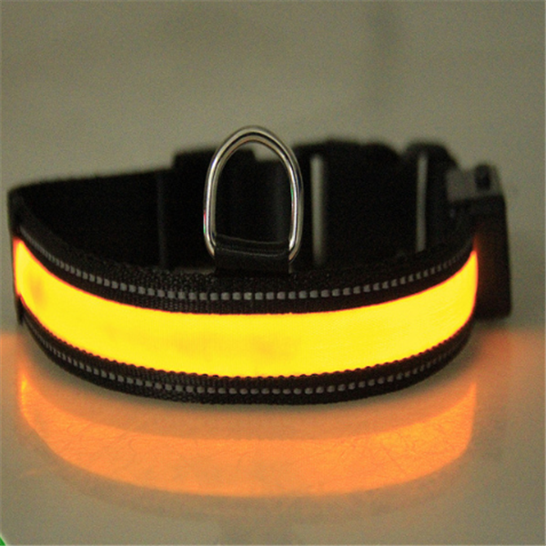 Fluorescent Dog Collar for Safety and Style