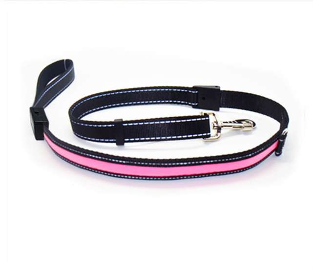 Fluorescent Dog Collar for Safety and Style