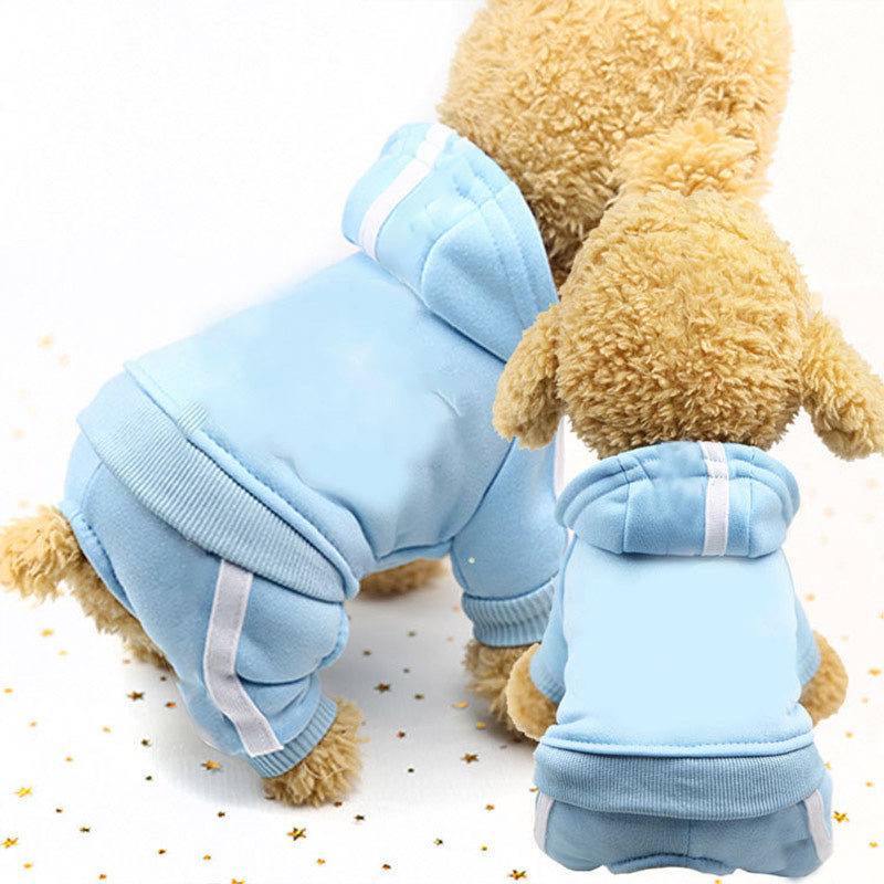 Chic Four-Legged Couture Pet's Style with British-Inspired Attire