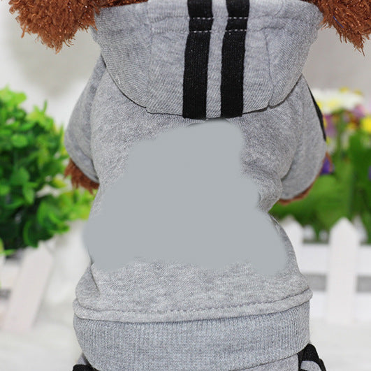 Chic Four-Legged Couture Pet's Style with British-Inspired Attire
