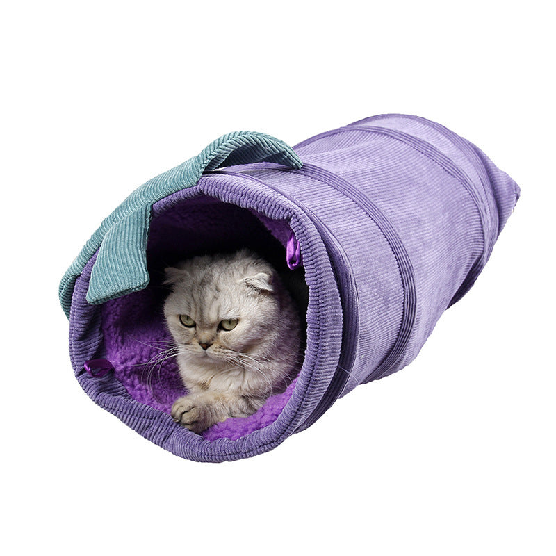 Whimsical Fruit Adventure The Ultimate Pet Tunnel Playtime
