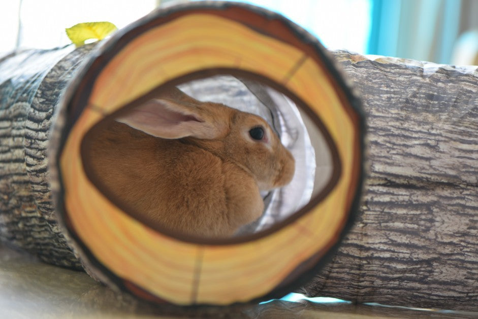 Whimsical Tree Pattern Tunnel Pet Toy