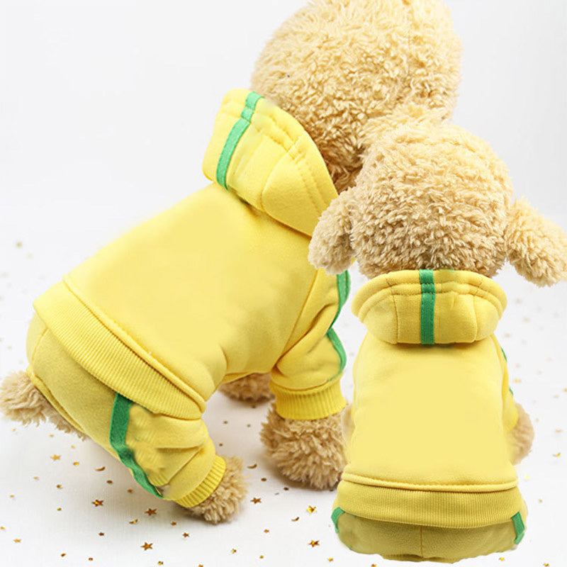 Chic Four-Legged Couture Pet's Style with British-Inspired Attire