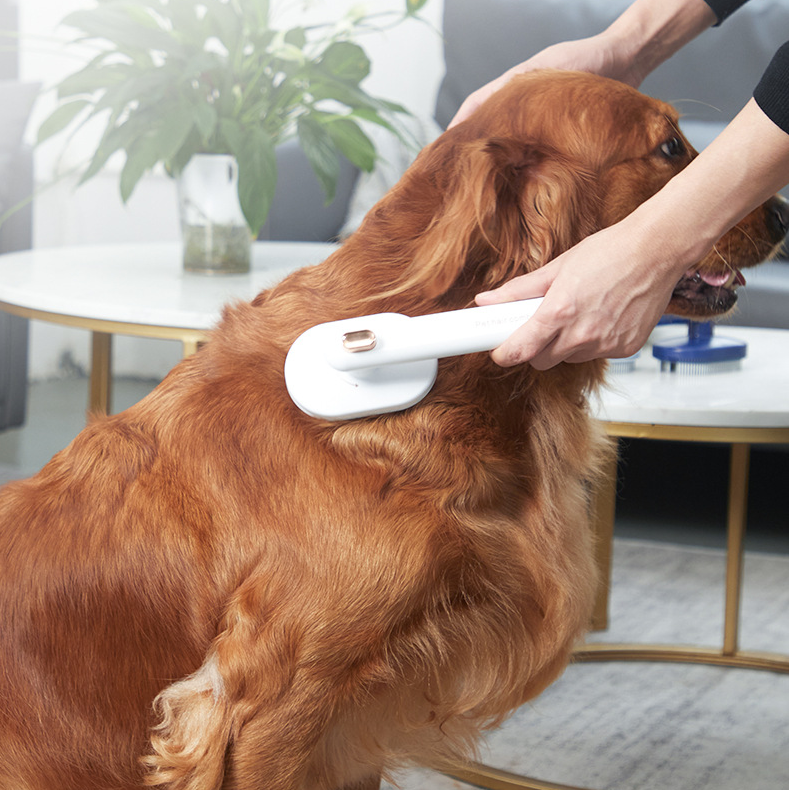 The Ultimate Self-Cleaning Pet Hair Comb