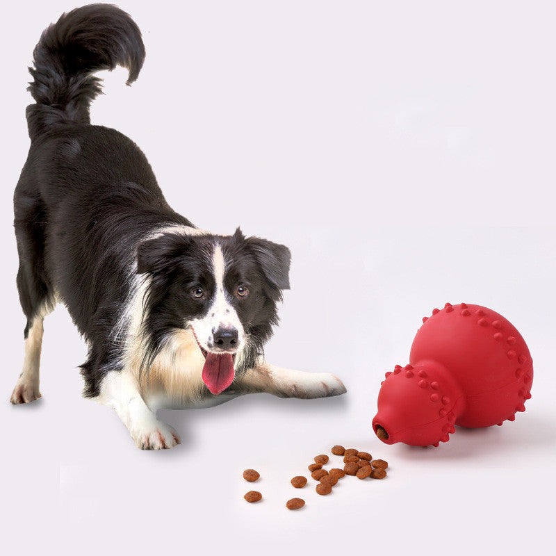 Leaky Gourd Pet Toy for Resilient Playtime