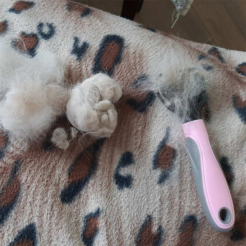 Ultimate 2-in-1 Pet Grooming Powerhouse