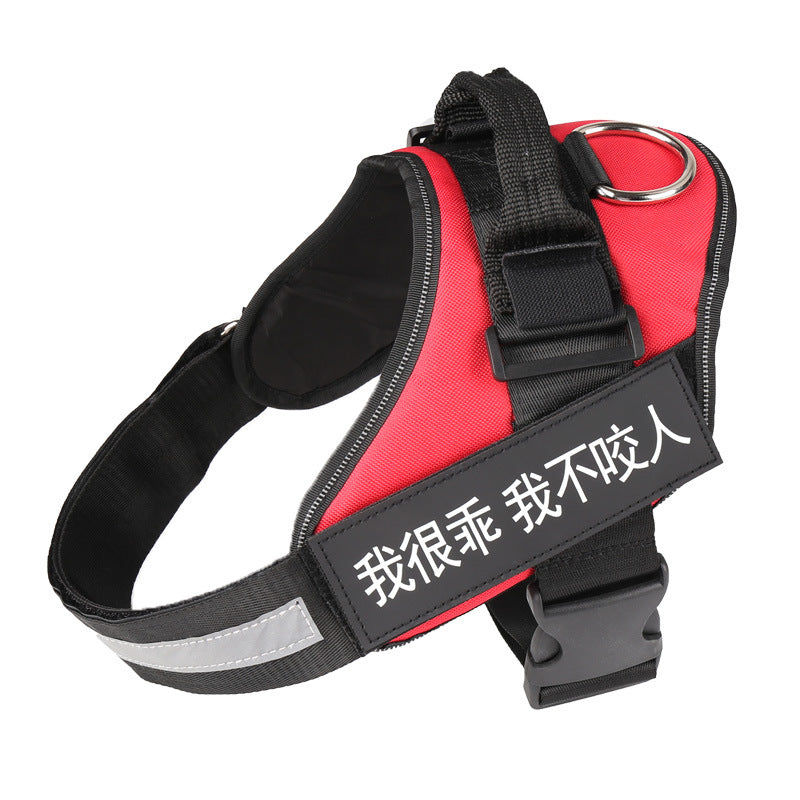 Personalized Reflective Dog Harness for Every Adventure!