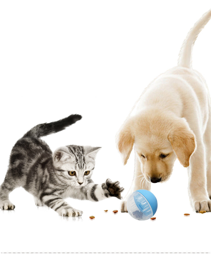 The Self-Healing Pet Ball for Endless Fun
