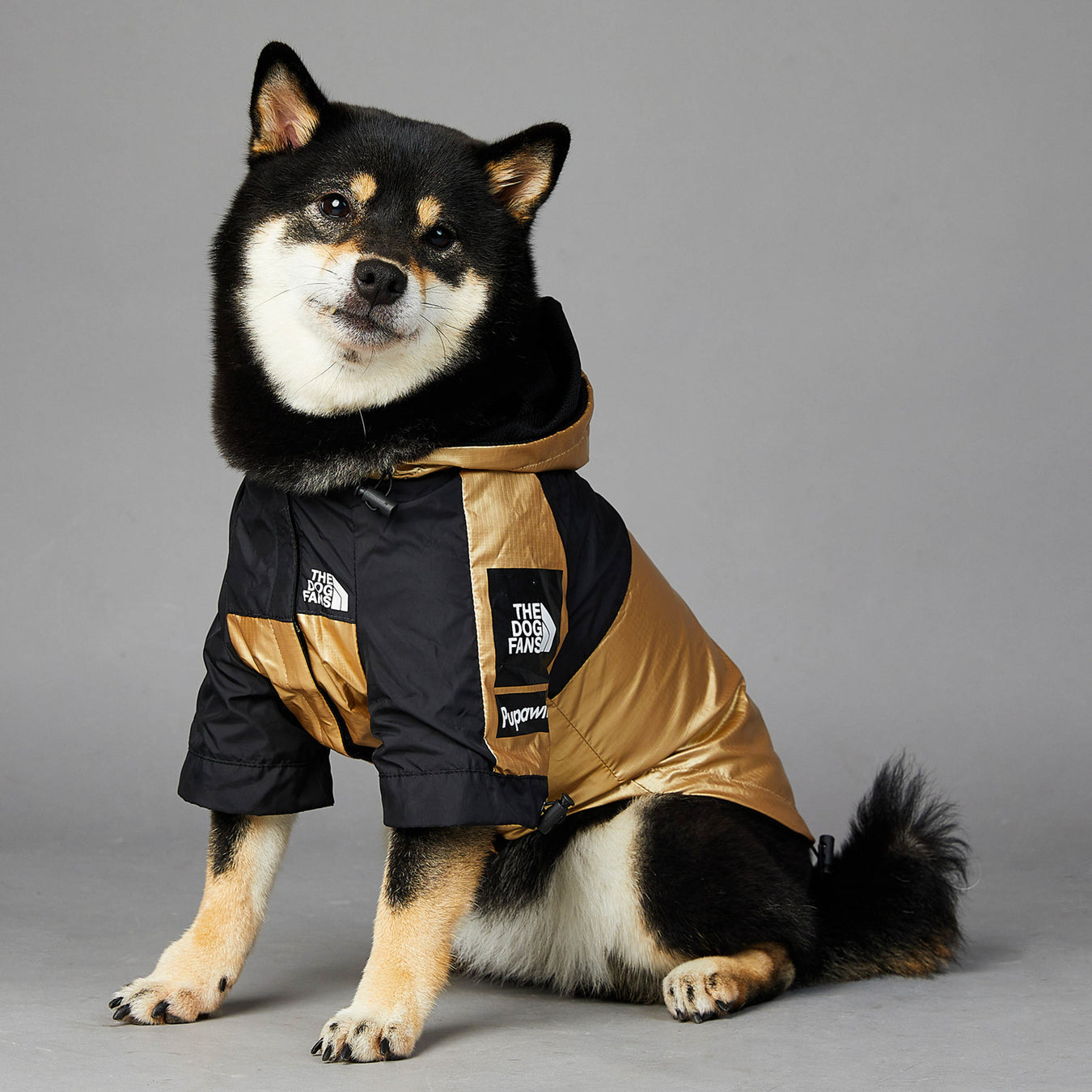 Dog Clothing & Shoes