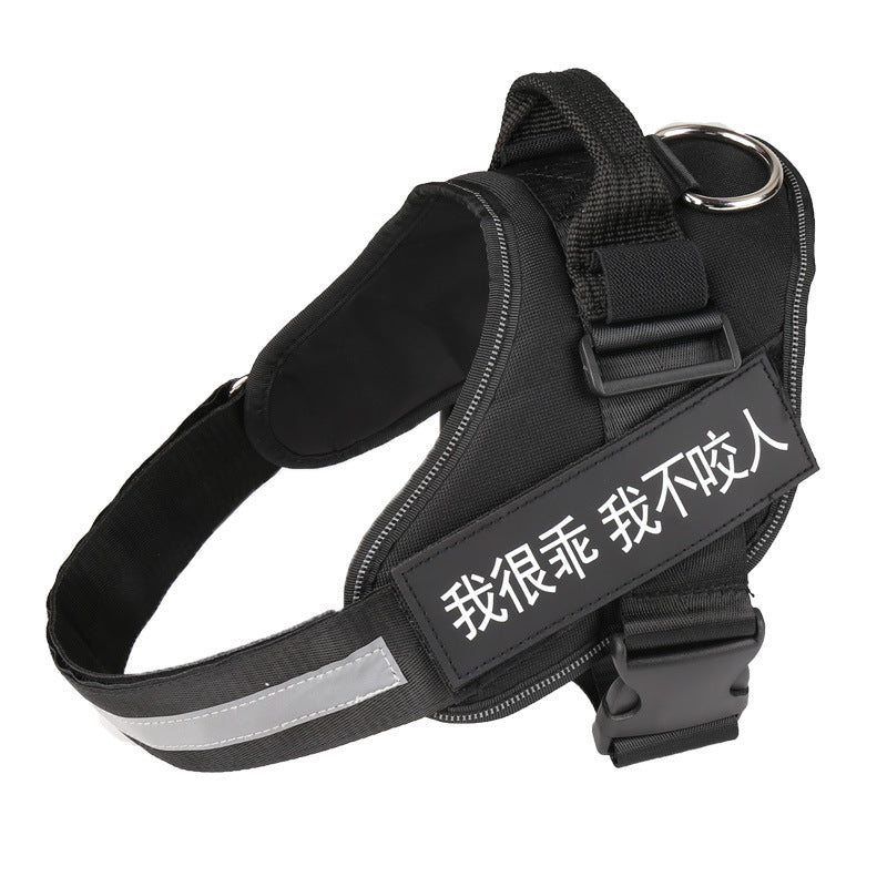 Personalized Reflective Dog Harness for Every Adventure!